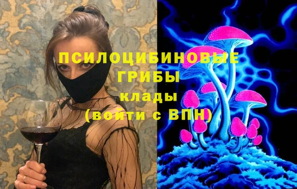 стаф Вязьма