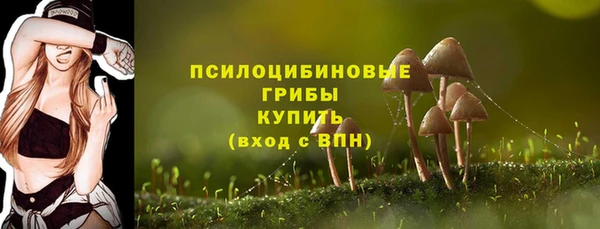 экстази Вяземский