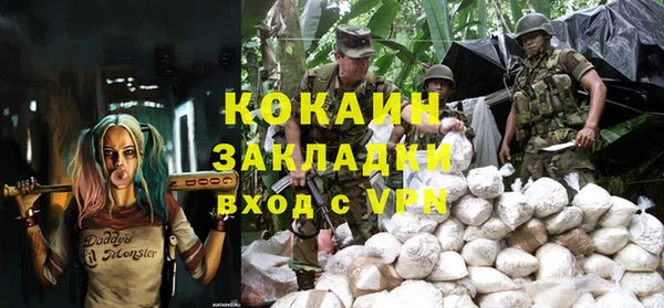 стаф Вязьма