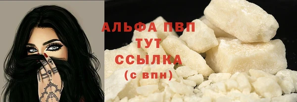стаф Вязьма