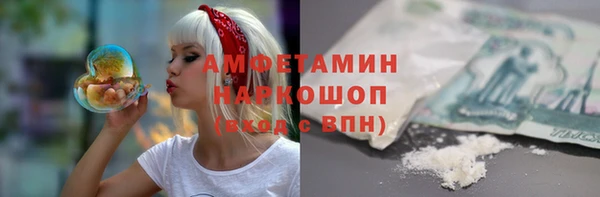 стаф Вязьма