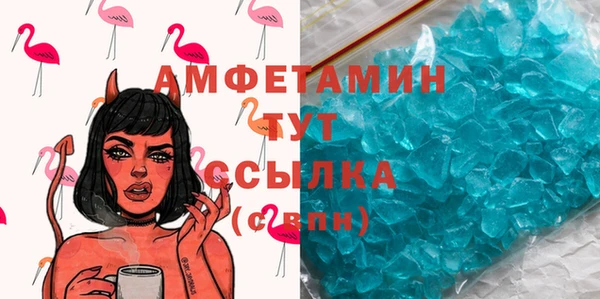 стаф Вязьма