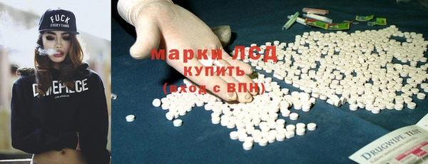стаф Вязьма