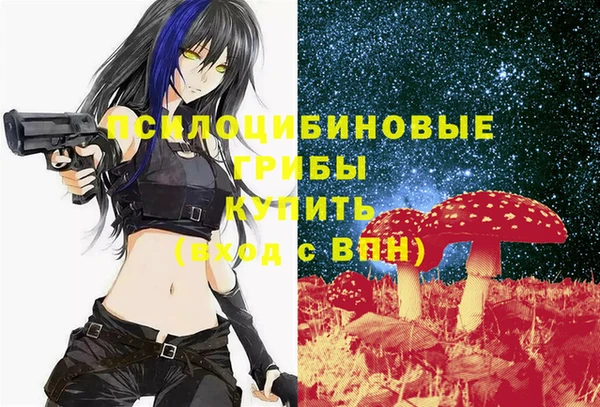 стаф Вязьма